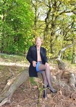 A Sunny Day in Bluebell Woods