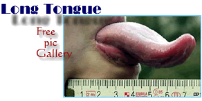 Long Tongue free pic Gallery